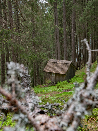 © PATRICK SAELY PHOTOGRAPHY