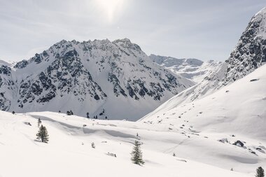 Verschneite Berglandschaft in Gargellen mit schroffen Felsen, sanften Hängen und einzelnen Bäumen im Vordergrund. | © Gargellner Bergbahnen GmbH & Co KG, Daniel Zangerl