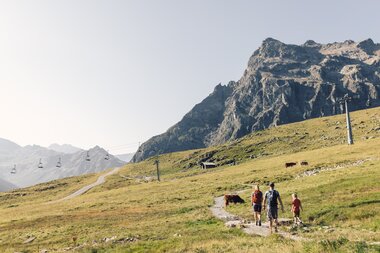 Familie wandert im Sommer auf einem Bergpfad in Gargellen, Kühe weiden auf der Almwiese. | © Gargellner Bergbahnen GmbH & Co KG, Daniel Zangerl
